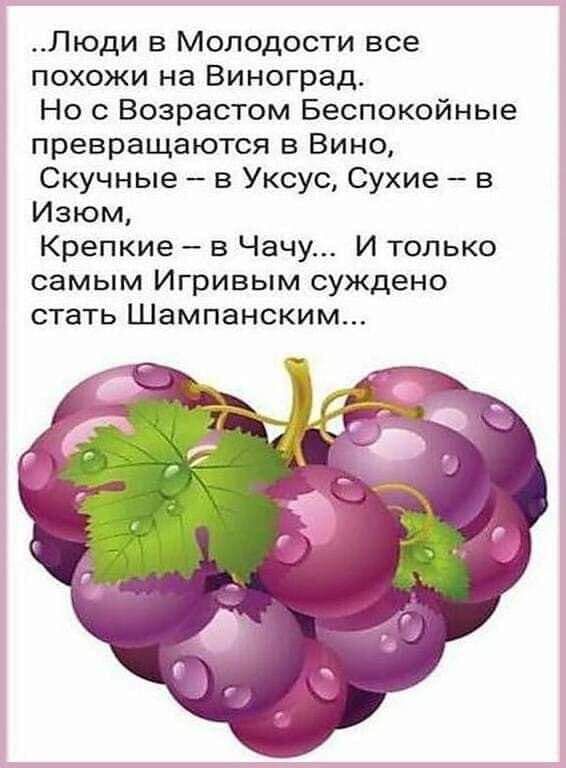 Люди в Молодости все похожи на Виноград Но с Возрастом Беспокойные превращаются 3 Вино Скучные в Уксус Сухие в Изюм Крепкие в Чачу И только самым Игривым суждено стать Шампанским