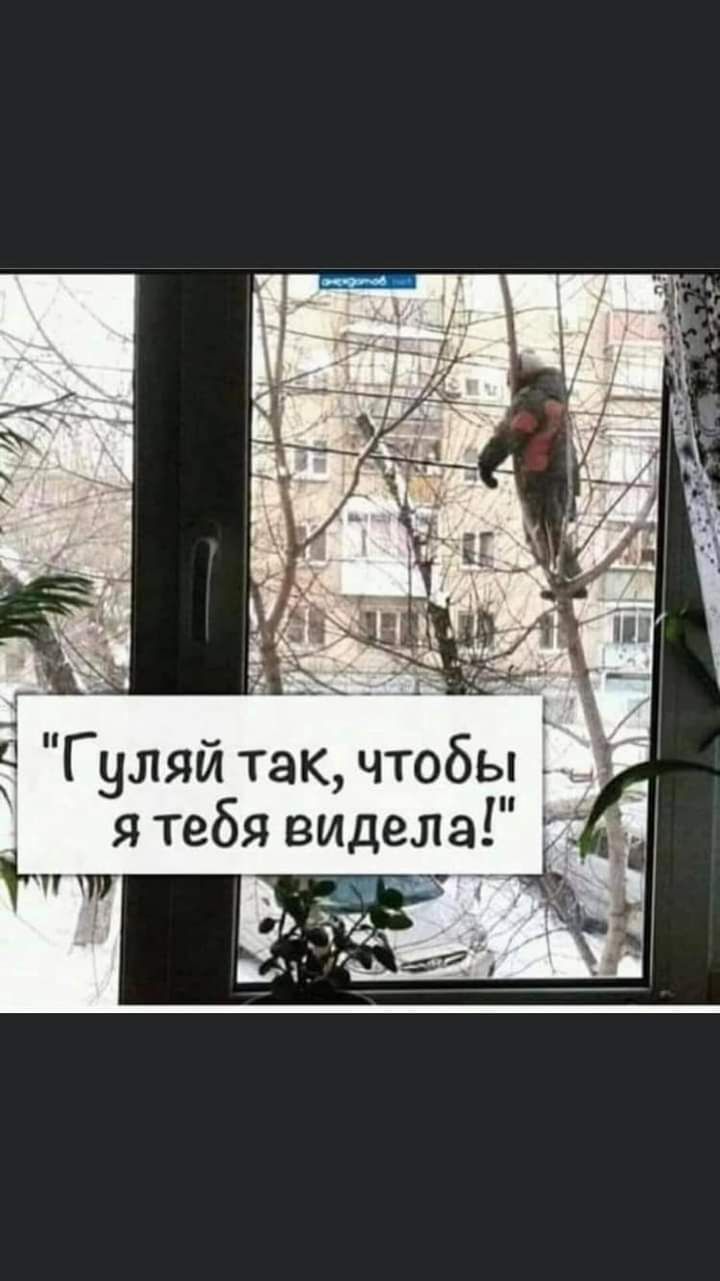Гуляй такчтобы ятебя видела