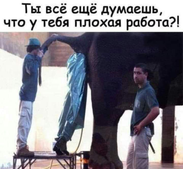 Ты всё ещё думаешь что у тебя плохая работа