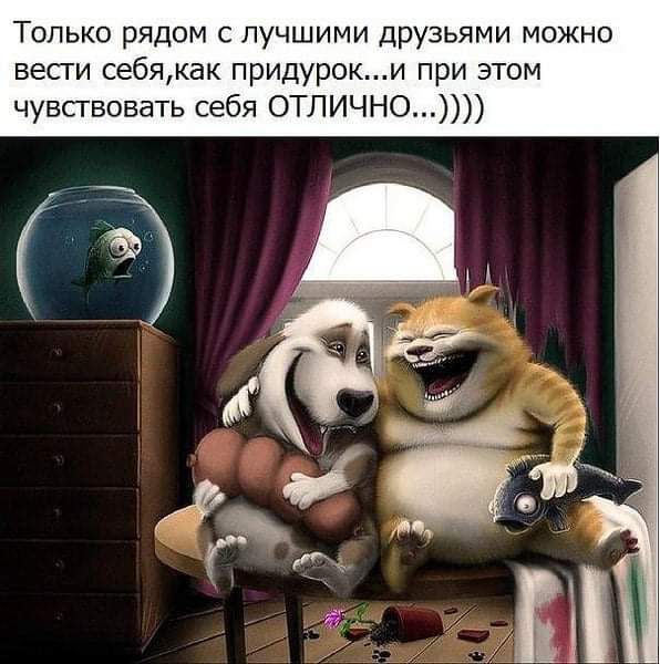 Только рядом с лучшими друзьями можно вести себякак придуроки при этом чувсгвовать себя ОТЛИЧНО