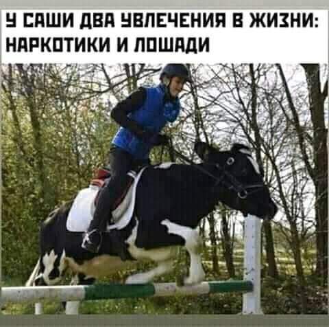 ЕПШИ двд НБПЕЧЕНИП В ЖИЗНИ