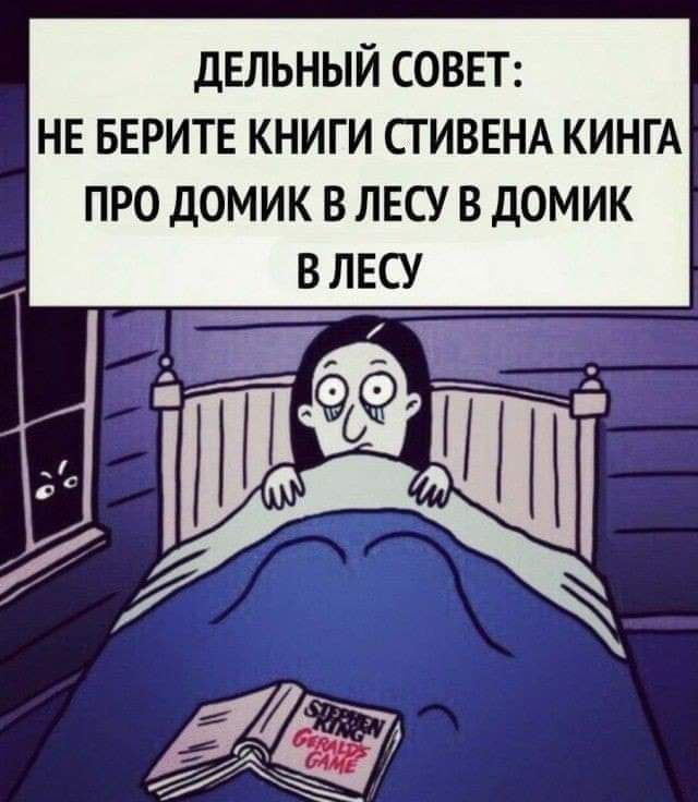 ДЕЛЬНЫЙ СОВЕТ НЕ БЕРИТЕ КНИГИ СГИВЕНА КИНГА ПРО ДОМИК В ЛЕСУ В ДОМИК