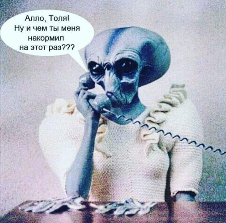 Алло Толя Ну и чем ты меня _ накормит _на этот раз