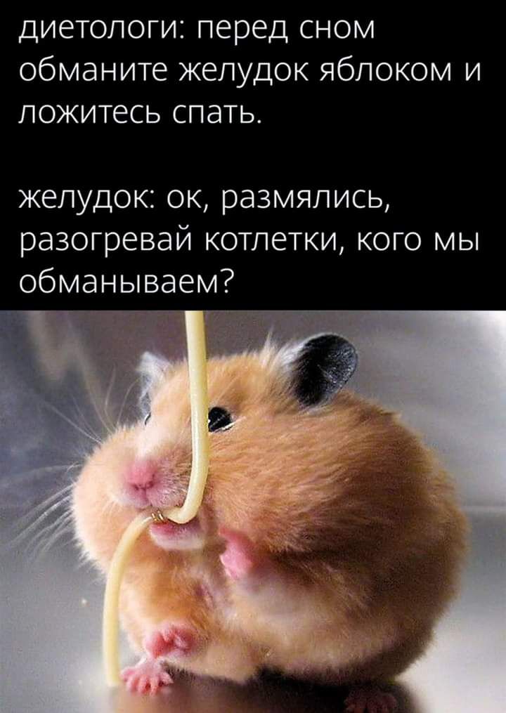 диетологи перед сном обманите желудок яблоком и ложитесь СПЭТЬ желудок ок размялись разогревай котлетки кого мы обманываем