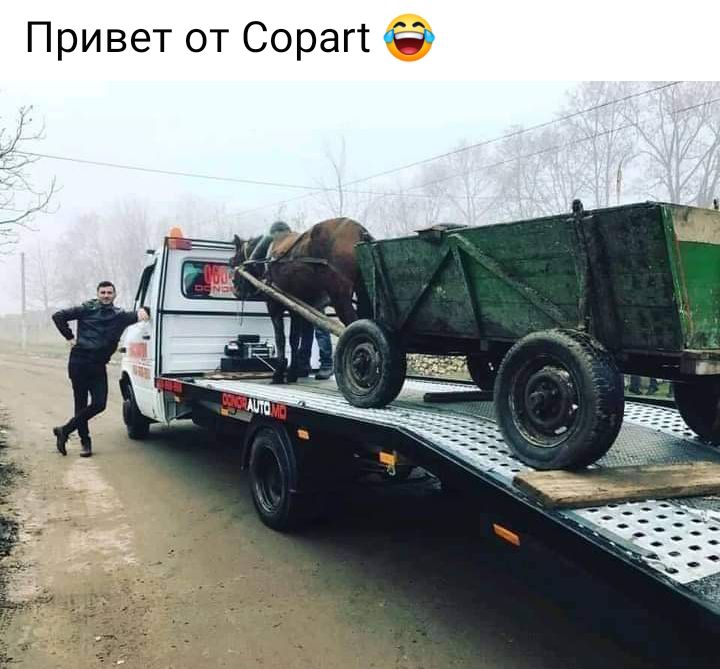 Привет от Сорагт Ф
