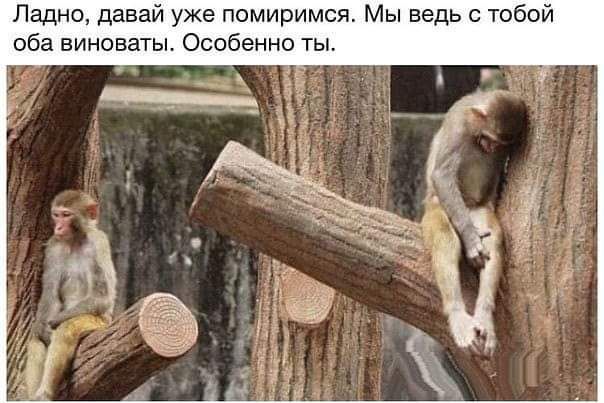 Ладно давай уже помиримся Мы ведь с тобой оба виноваты Особенно ты
