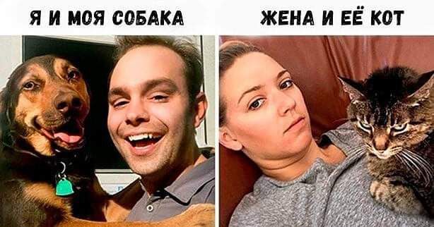 Я И МОЯ СОБАКА ЖЕНА И ЕЁ КОТ