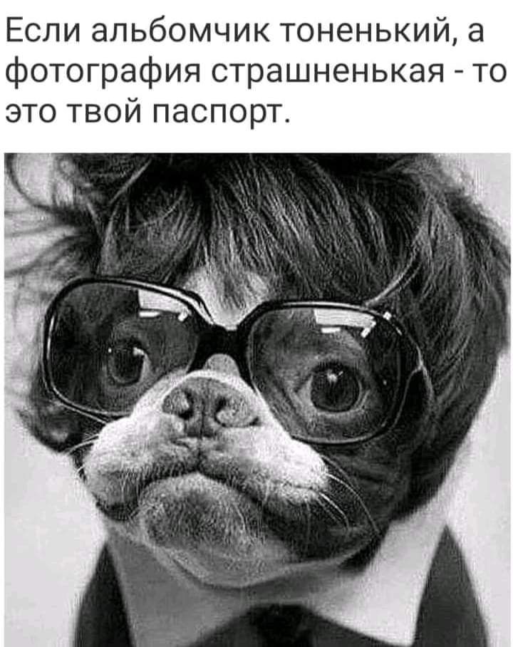 Если альбомчик тоненький 8 фотография страшненькая то это твой паспорт