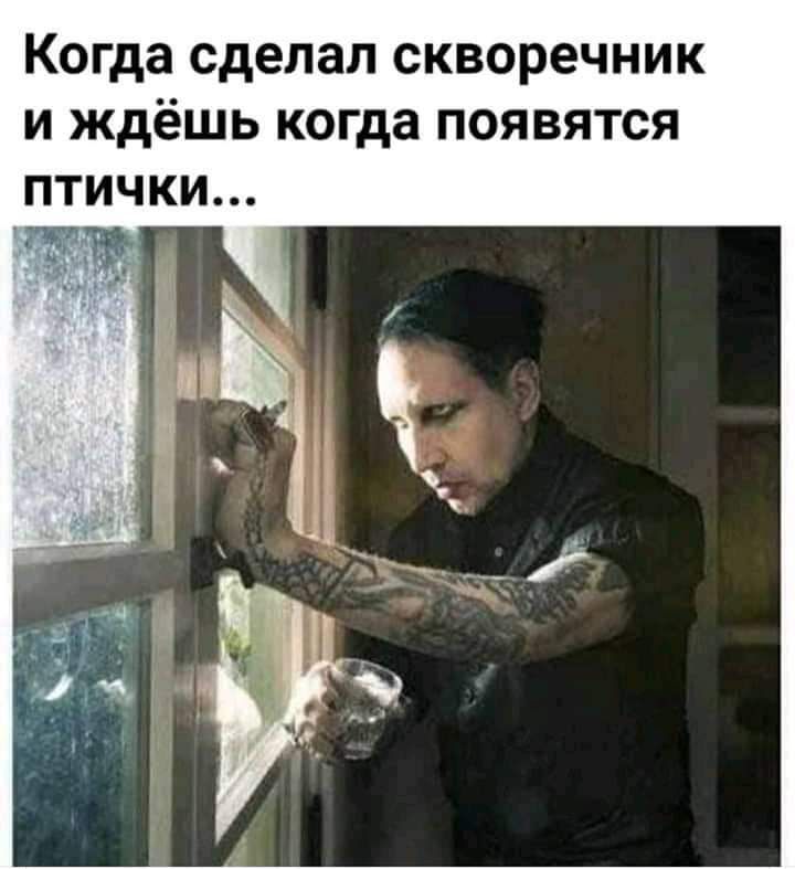 Когда сделал скворечник и ждёшь когда появятся ПТИЧКИ