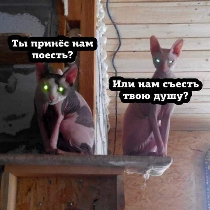 у _ Ты принёс нам поесть ъ