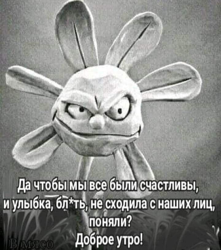 дошчіобы мы в ли счастливы и улыбка блгь не одила с Наших лиц поняпи доброе утро