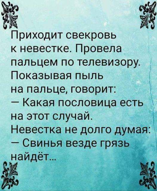 Приходит свекровь к невестке Провела пальцем по телевизору Показывая пыль на пальце говорит Какая пословица есть на этот случай Невестка не долго думая Свинья везде грязь найдёт
