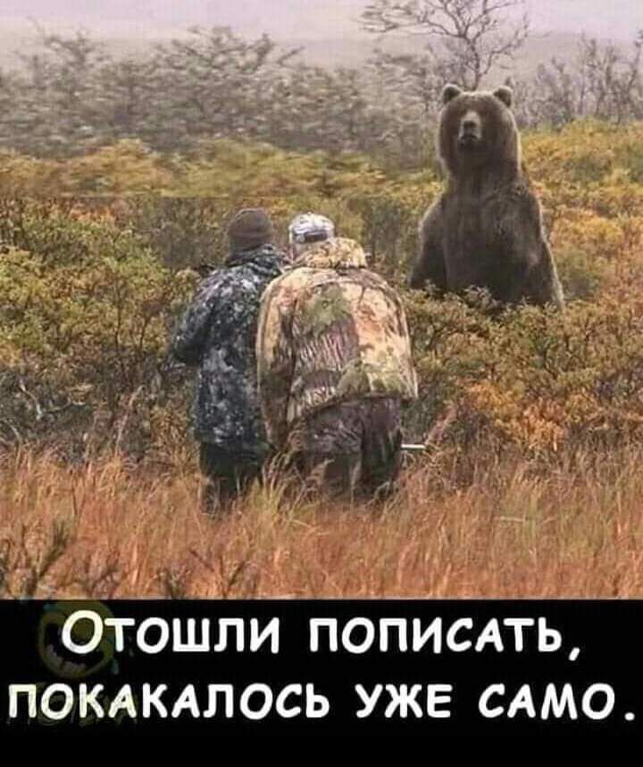 Отошли пописпь ПОКАКАЛОСЬ уже САМО