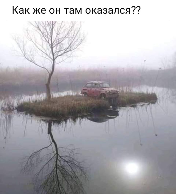 Как же он там оказался