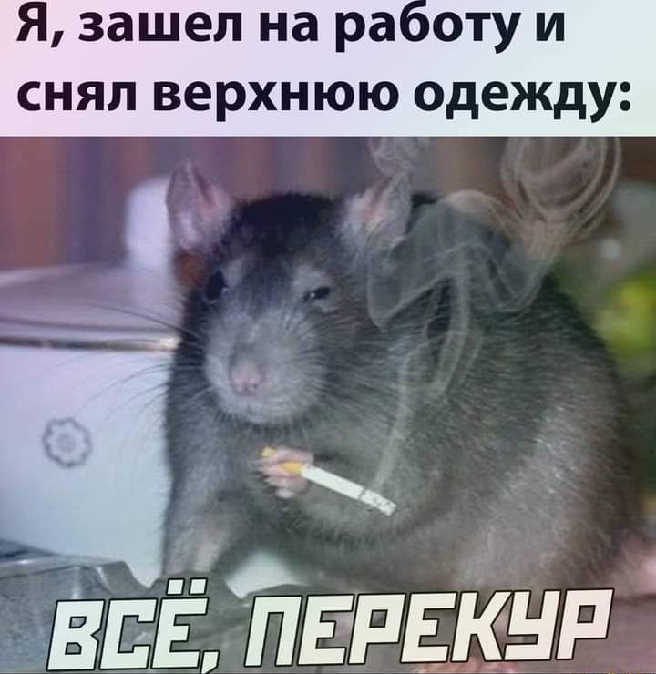 Я зашел на ра оту и снял верхнюю одежду