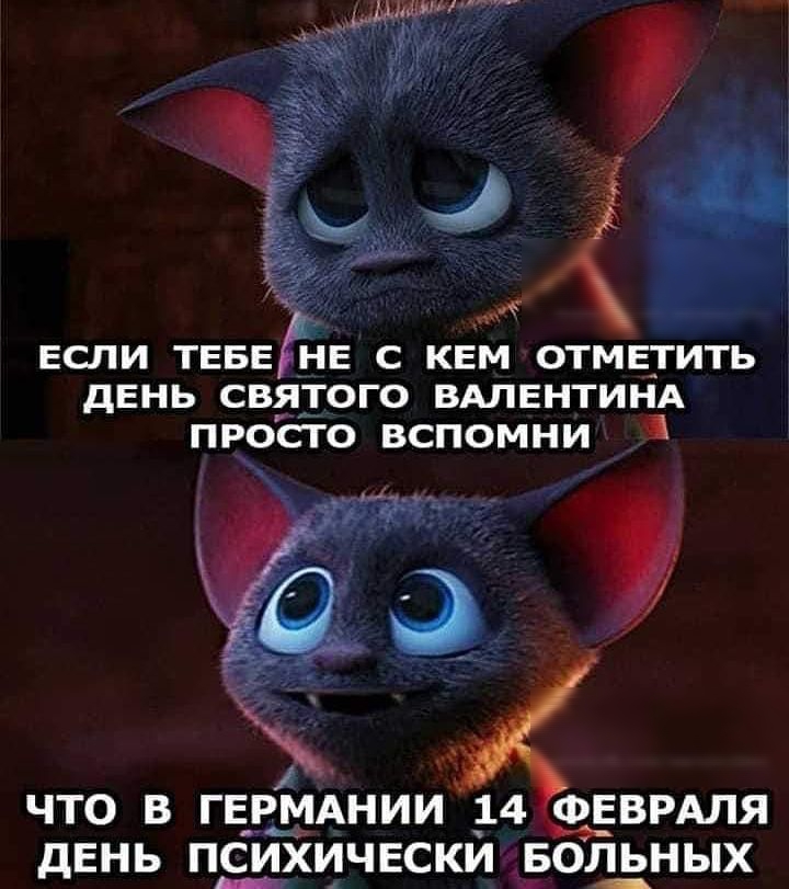 ЕСЛИ ТЕБЕ НЕ С КЕМ ОТМЕТИТЬ дЕНЬ СВЯТОГО ВАЛЕНТИНА ПРОСТО ВСПОМНИ ЧТО В ГЕРМАНИИ 14 ФЕВРАЛЯ дЕНЬ ПСИХИЧЕСКЙ БОЛЬНЫХ