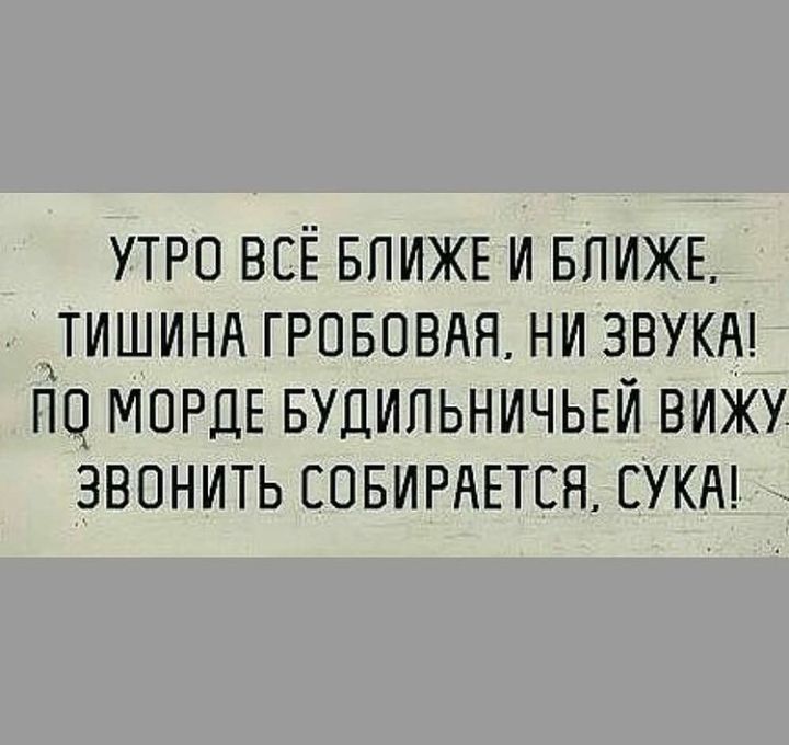 УТРО ВСЁ БЛИЖЕ И БЛИЖЕ ТИШИНА ГРОБОВАЯ НИ ЗВУКА ИО МОРДЕ БУДИЛЬНИЧЬЕИ ВИЖУ ЗВОНИТЬ СОБИРАЕТСЯ СУКА
