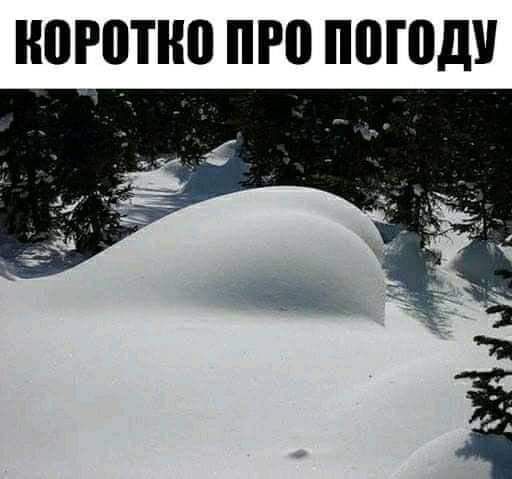 НПРВПЮ ПРП ППЮДУ