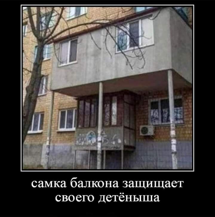 самка балкона защищает своего детёныша