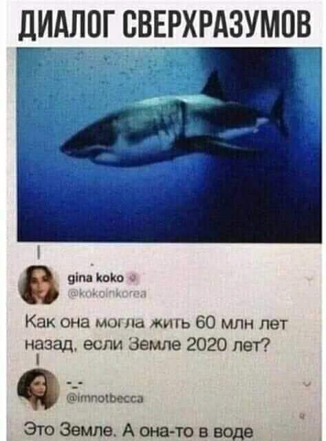 ДИАЛОГ ВВЕРХРАЗУМПВ Г цін Коіш Как она мос Ла кинь 60 млн лет ніаэад если Земле 2020 лет мофесса ЭтоЗшлеАона товводв