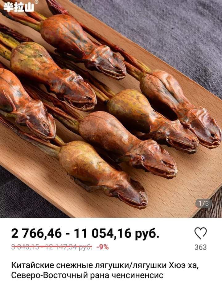 11 2 76646 11 05416 руб 49 363 Китайские снежные лягушкилягушки Хюэ ха СевероВосточный рана ченсиненсис