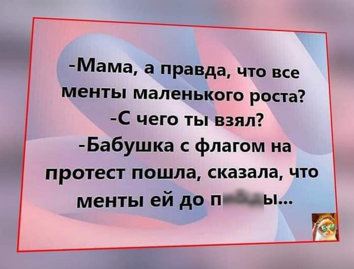 Мама а правда что все менты маленького роста С чего ты взял Бабушка с флагом на протест пошла сказала что менты ей до пАы