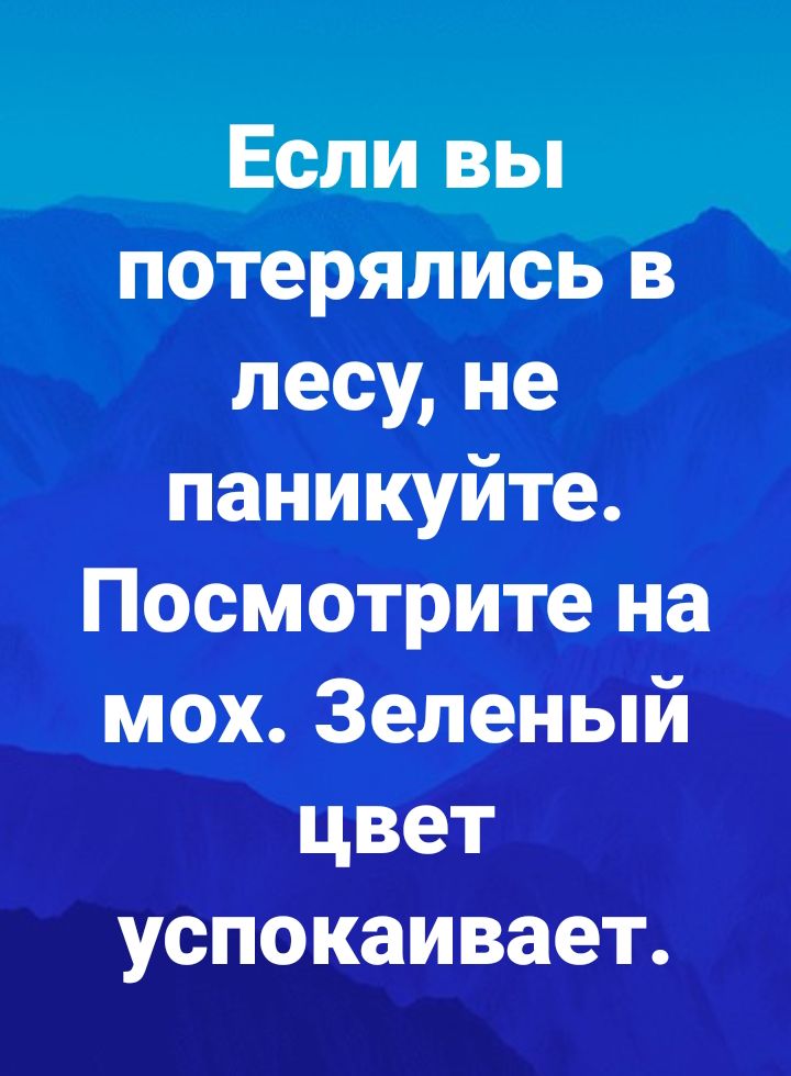 Если вы потерялись в лесу не паникуйте Посмотрите на мох Зеленый цвет успокаивает