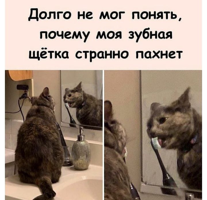 Долго не мог понять почему моя зубная щётка странно пахнет
