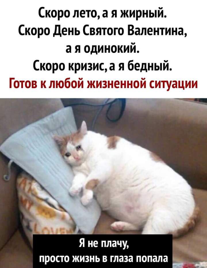 Скоро лето а я жирный Скоро День Святого Валентина а я одинокий Скоро кризиса я бедный Готов клюбой жизненной ситуации Я не плачу просто жизнь в глаза попала