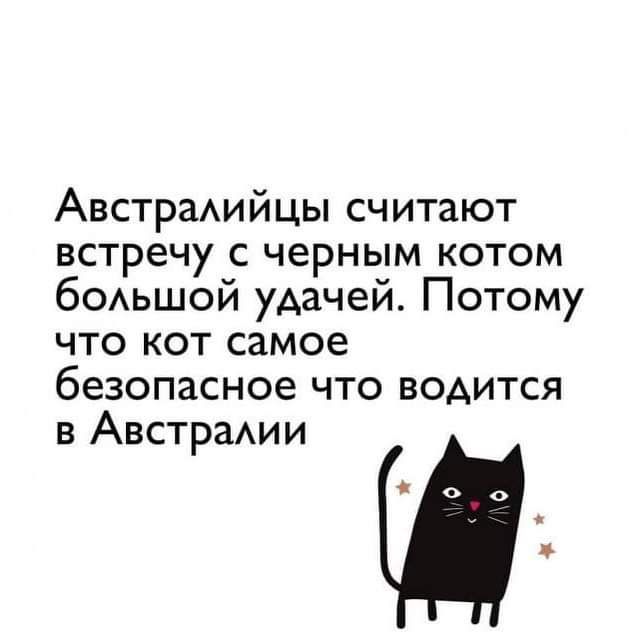 АвстраАийцы считают встречу с черным котом бОАЬШОЙ удачей Потому что кот самое безопасное что водится в АвстраАии