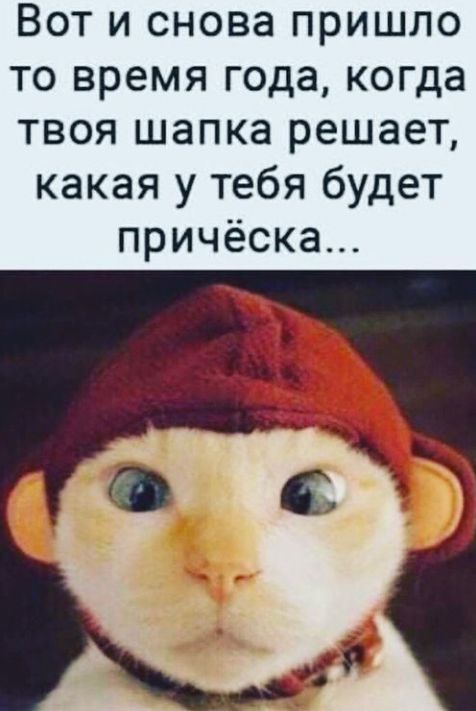 Вот и снова пришло то время года когда твоя шапка решает какая у тебя будет причёска