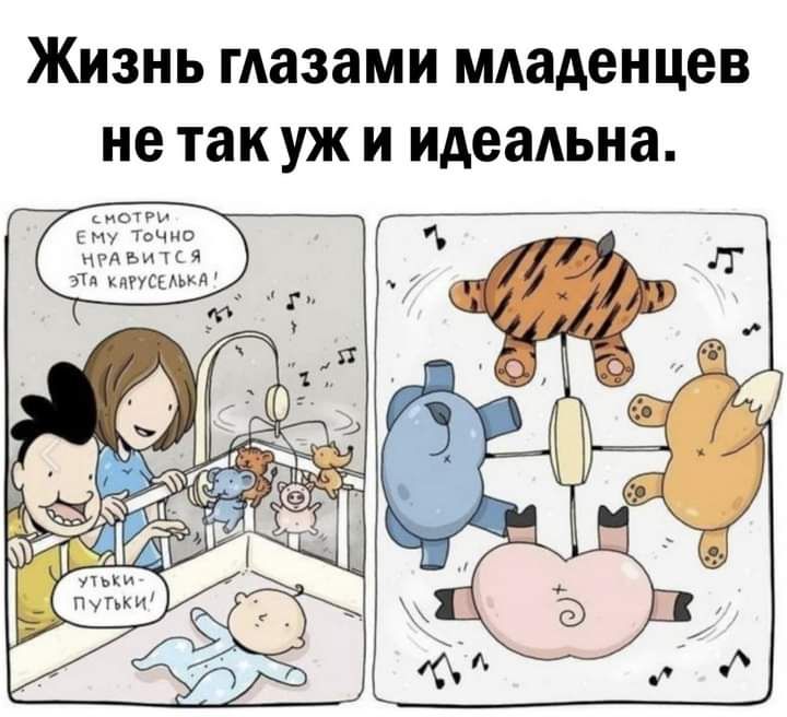 Жизнь глазами МАаденцев не так уж и идеальна