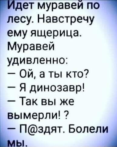 дет муравеи по лесу Навстречу ему ящерица Муравей удивленно Ой а ты кто Я динозавр Так вы же вымерли ь Пздят Болел ы
