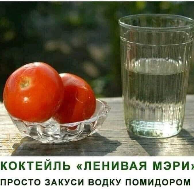 КОКТЕЙЛЬ ЛЕНИВАЯ МЭРИ просто ЗАКУСИ водку помидором