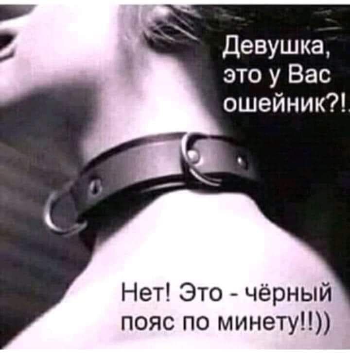 Девушка это у Вас ошейники Нет Это чёрный пояс по минету