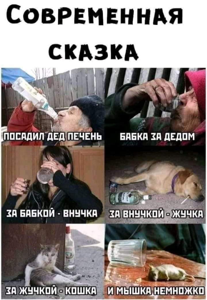 СОВРЕМЕННАЯ скдзкд К