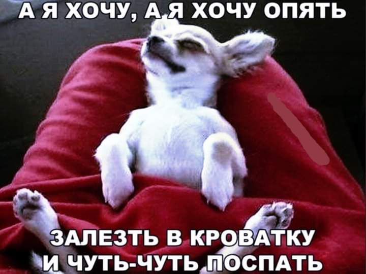 ТЯ ХОЧУ А Я ХОЧУ ОПЯТЬ ЗАЛЕЗТЬ В КРЭВАГКУ ЦЧУТЬ ЧУТЬДОСПАТЬ