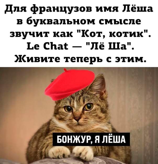 для французов имя Лёша в буквальном смысле звучит как Кот котик 1е спас Лё Ша Живите теперь с этим Бойжун я ЛЁША ц