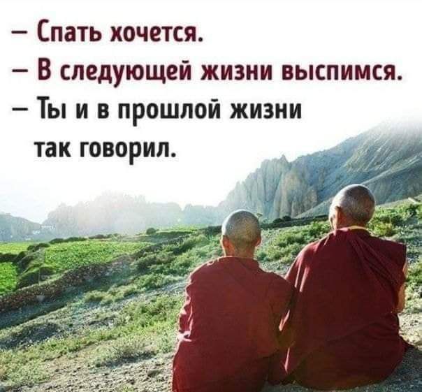 Спать хочется В следующей жизни выспимся Ты и в прошлой жизни так говорил