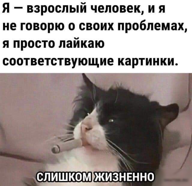 я взрослый человек и я не говорю о своих проблемах я просто лайкаю соответствующие картинки