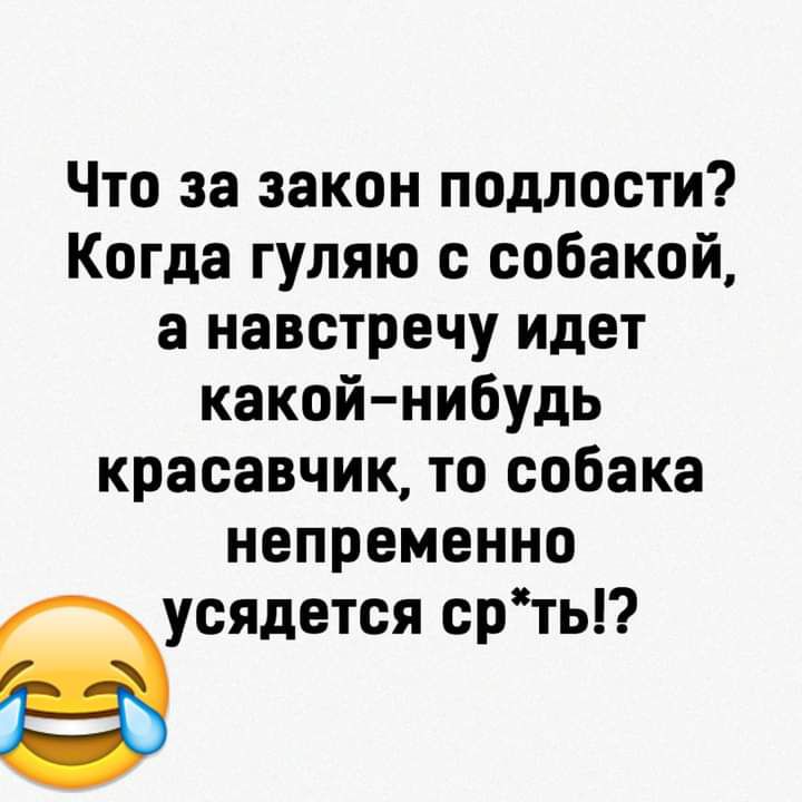 Что за закон подлости Когда гуляю с собакой а навстречу идет какой нибудь красавчик то собака непременно вусядется срть