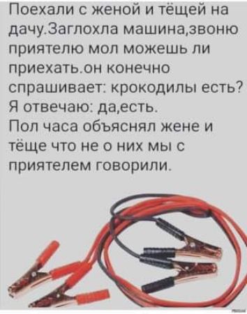 Поехали с женой и тёщей на дачуЗагпохпа машиназвоню приятелю мол можешь пи приехатьон конечно спрашивает крокодилы есть Я отвечаю даесть Поп часа объяснял жене и тёще что не о них мыс приятелем говорили