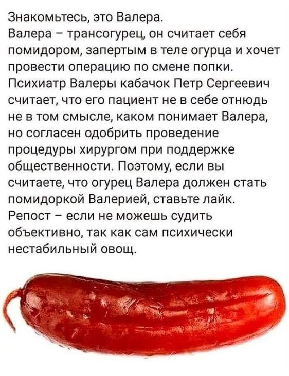 Знакомьтесь это Валера Валера трансогурец он считает себя помидором аапертым в теле огурца и хочет провести операцию по смене попки Психиатр Валеры кабачок Петр Сергеевич считает что его пациент не в себе отнюдь не в том смысле каком понимает Валера но согласен одобрить проведение процедуры хирургом при поддержке общественности Поэтому если вы считаете что огурец Валера должен стать помидоркой Вал