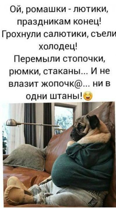 Ой ромашки лютики праздникам конец Грохнули салютики съели холодец Перемыли стопочки рюмки стаканы И не влазит жопочк ни в одни штаны