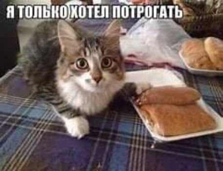 г тшпптг ты 3 Ш пт