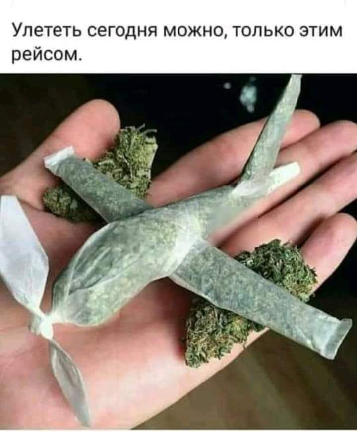 Улететь сегодня можно только этим рейсом