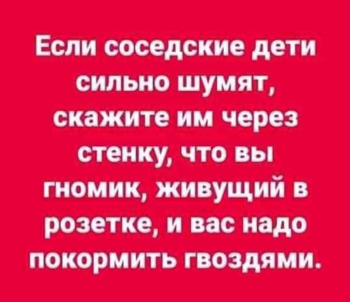 тд т т щин п все