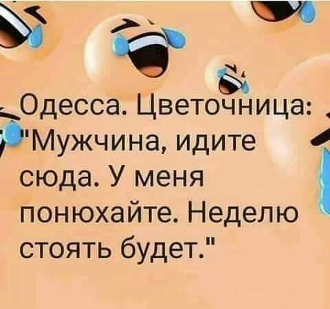 в Одесса Цветочница Мужчина идите сюдаУменя пон юхайте Неделю стоять будет
