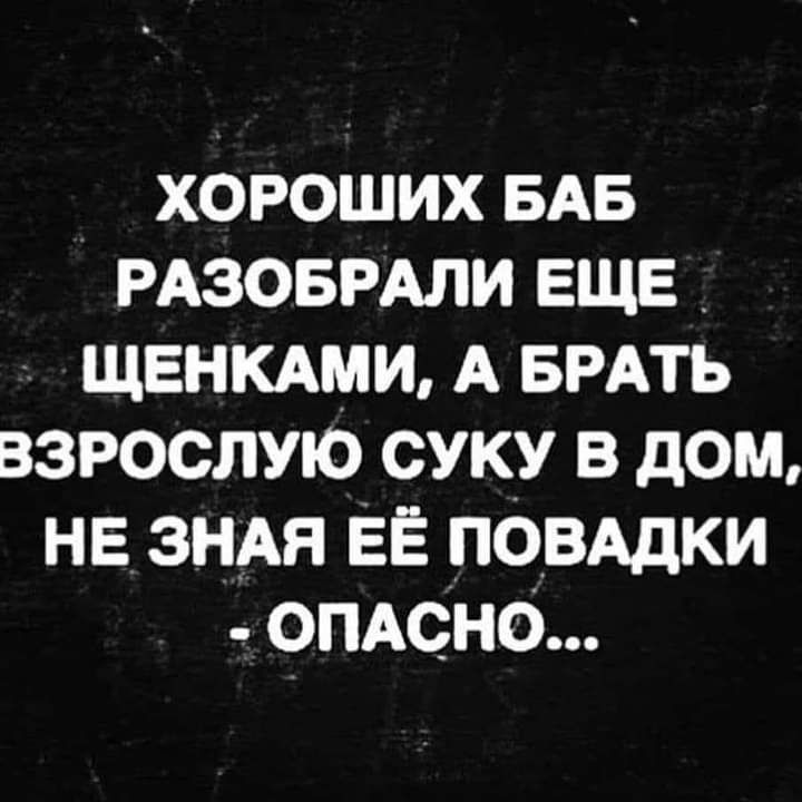 хороших БАБ РАЗОБРАЛИ ЕЩЕ _ ЩЕНКАМИ А БРАТЬ взрослую суку в дом не знАя ЕЁ повАдки ОПАСНО