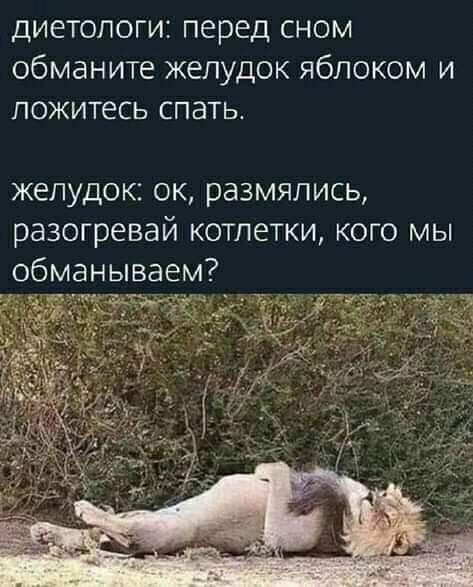 диетологи перед сном обманите желудок яблоком и ложитесь спатьт желудок ок размялись разогревай котлетки кого мы обманываем